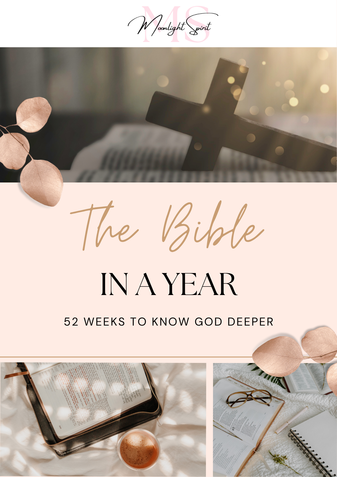 The Bible in a Year - 52 Weeks to Know God Deeper (PDF Download)