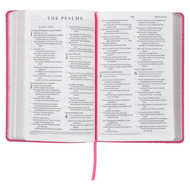 ESV Pink Vines Faux Leather Standard Bible