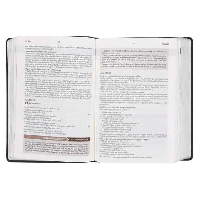 NLV Swart Kunsleer Stiltetydbybel vir Mans