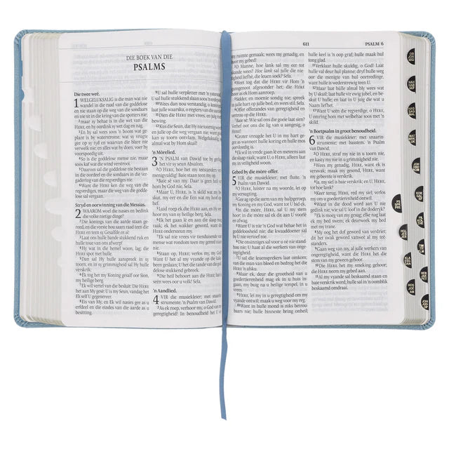 Afrikaans 1933/1953 Vertaling Ligblou Kunsleer Bybel