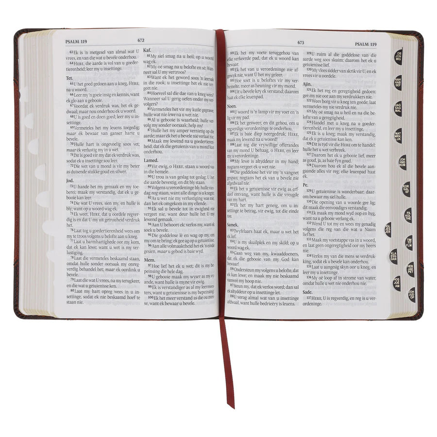 Afrikaans 1933/1953 Vertaling Bruin Kunsleer Bybel