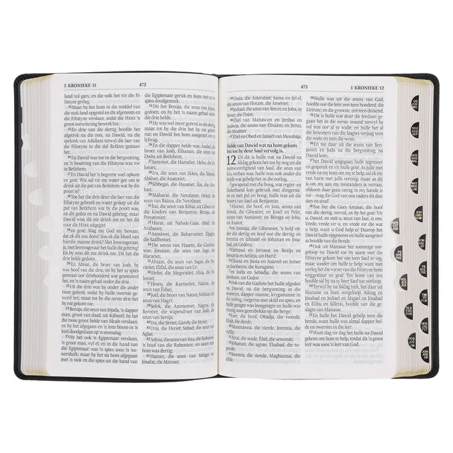 Afrikaans 1933/1953 Vertaling Swart Kunsleer Bybel