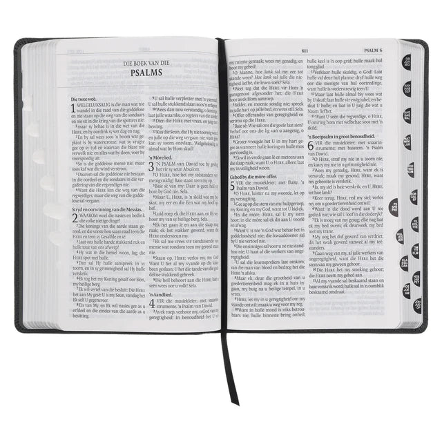 Afrikaans 1933/1953 Vertaling Steenkool Egte Leer Bybel