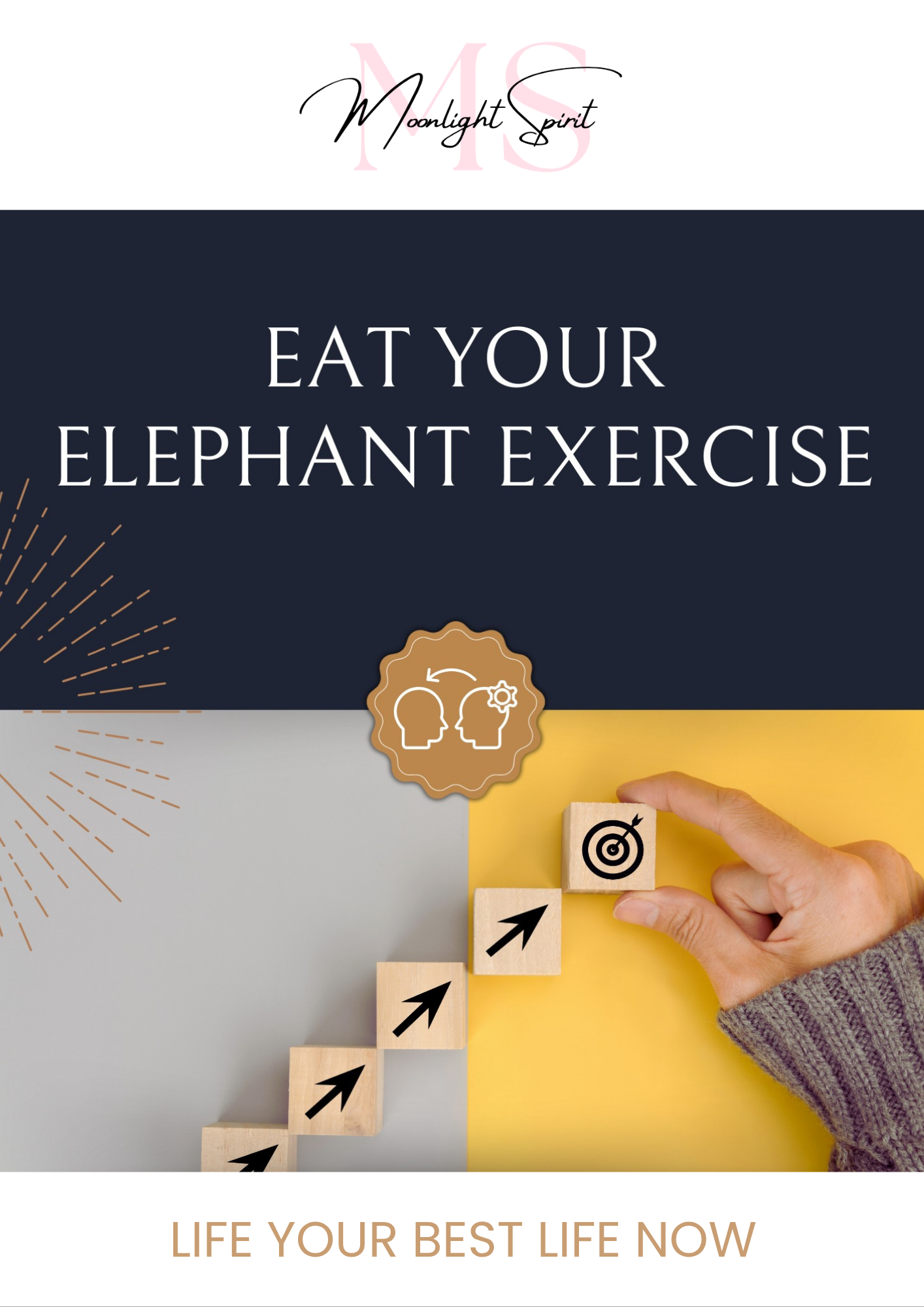 Life Mastery – Coaching Program (8-Lesson PDF Bundle)